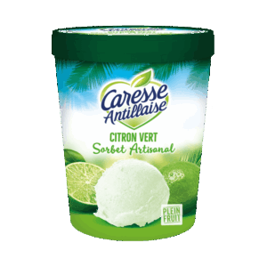 Sorbet CITRON VERT