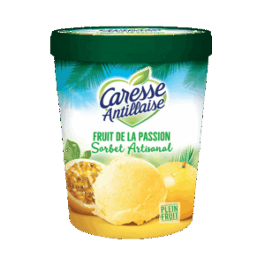Sorbet FRUIT DE LA PASSION