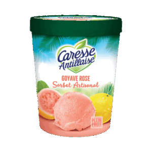 Sorbet GOYAVE ROSE